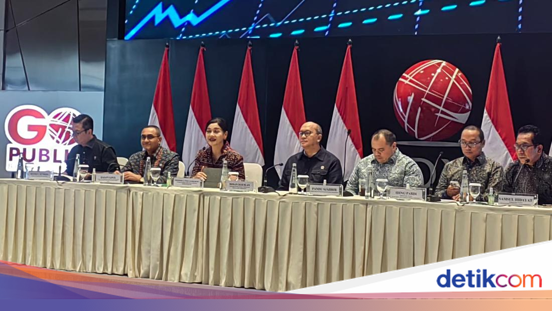 Bos Danantara Sebut BUMN Punya Kepentingan Besar di Pasar Modal