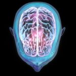 gambar pergeseran otak astronot mengungkap dampak mikrogravitasi pada anatomi manusia dalam perjalanan antariksa jangka panjang