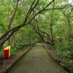 gambar satpol pp perketat patroli hutan kota cawang pasca viral dugaan asusila bertekad jaga ketertiban ruang publik