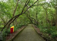 gambar satpol pp perketat patroli hutan kota cawang pasca viral dugaan asusila bertekad jaga ketertiban ruang publik