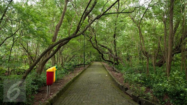 Satpol PP Perketat Patroli Hutan Kota Cawang Pasca Viral Dugaan Asusila, Bertekad Jaga Ketertiban Ruang Publik